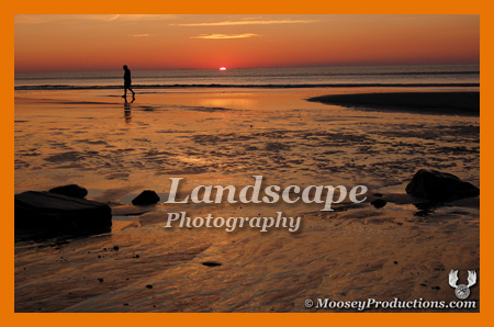 Landscape Photography Gallery